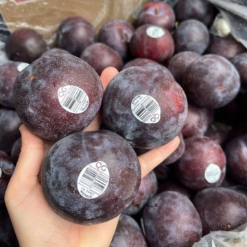 Trái cây nhập khẩu Úc